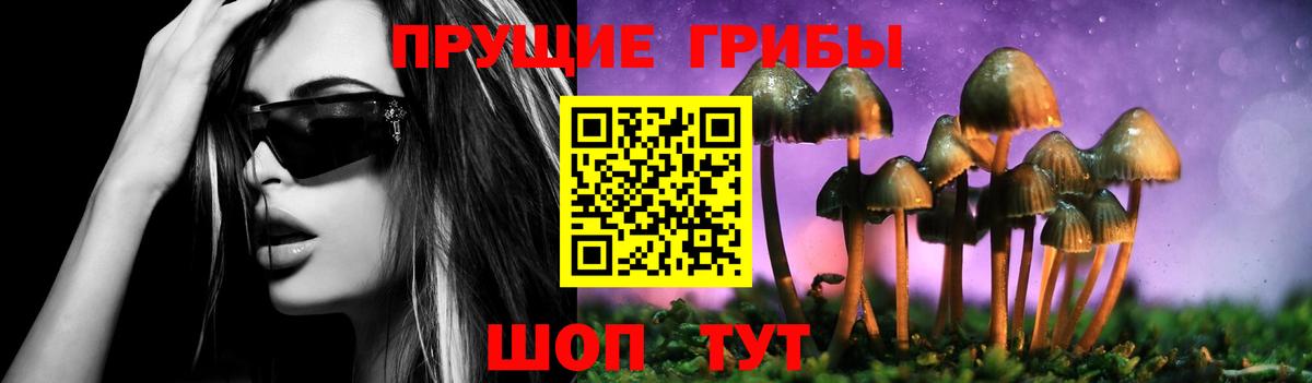 Белово  Галлюциногенные грибы Psilocybine cubensis  Вход с VPN 